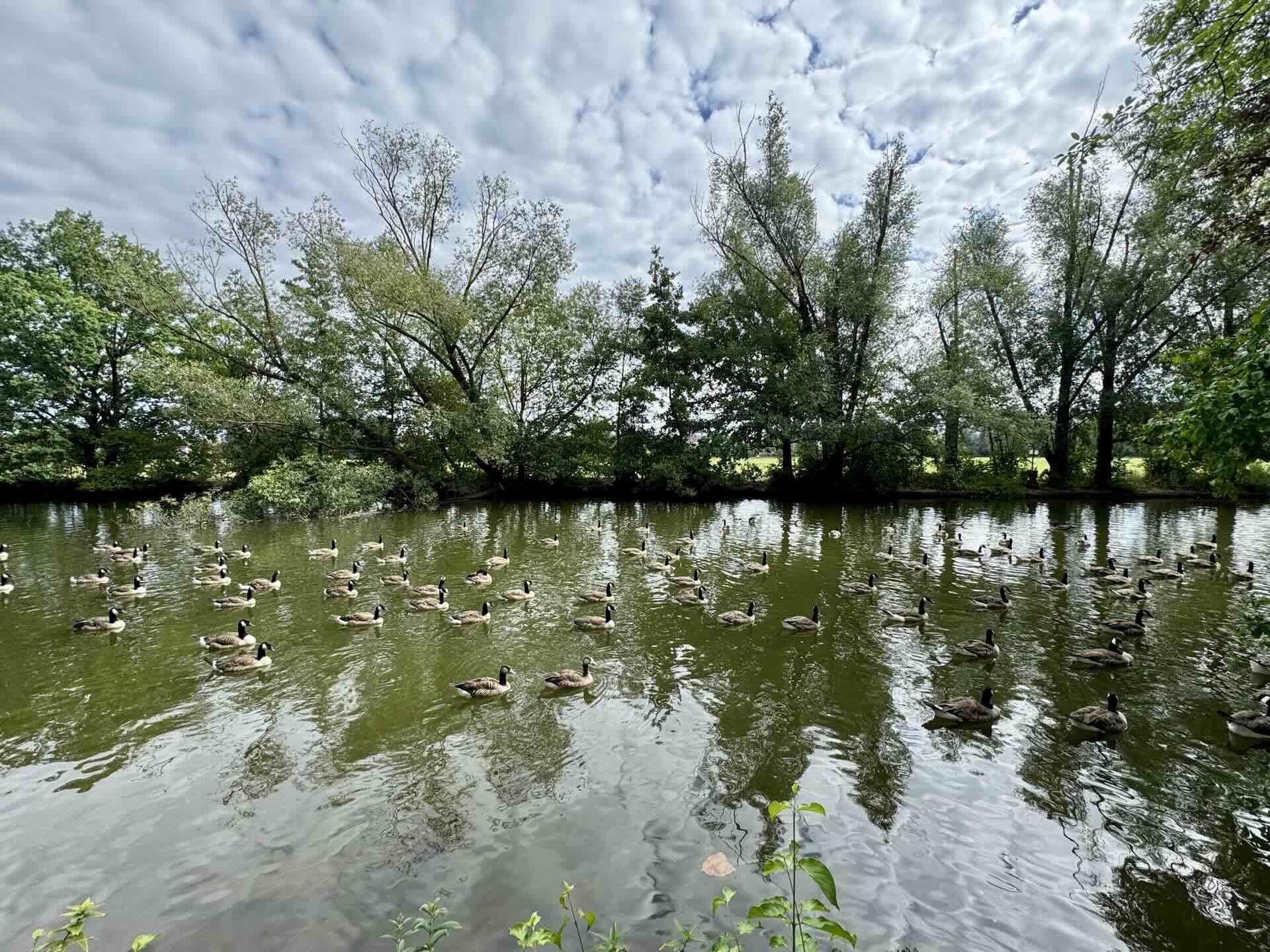 Sonntags im Park